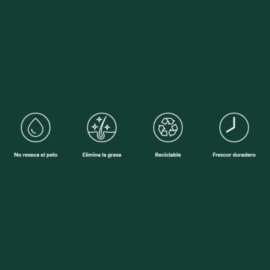 Batiste Champu Seco Original