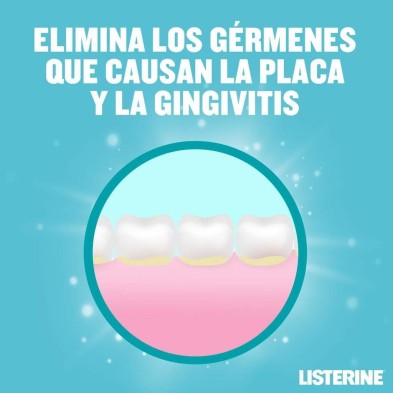 LISTERINE MENTOL SABOR SUAVE 1 ENVASE 250 ML