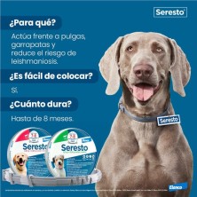 SERESTO COLLAR PARA PERROS MÁS DE 8 KG 70 CM 4,50/2,03 G