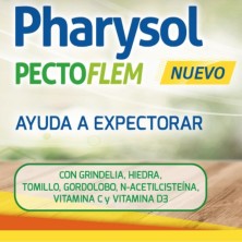 PHARYSOL PECTOFLEM 100ML
