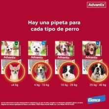 ADVANTIX 400/2000 MG SOLUCION SPOT-ON PARA PERROS 25-40 KG 4 PIPETAS CORTAS 4 ML