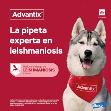 ADVANTIX 400/2000 MG SOLUCION SPOT-ON PARA PERROS 25-40 KG 4 PIPETAS CORTAS 4 ML