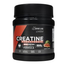 CREATINA MONOHYDRATE DRASANVI  200MESH SANDIA 300G