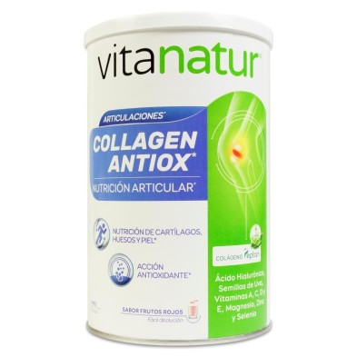 Vitanatur Collagen Antiox 1 Bote 360 g