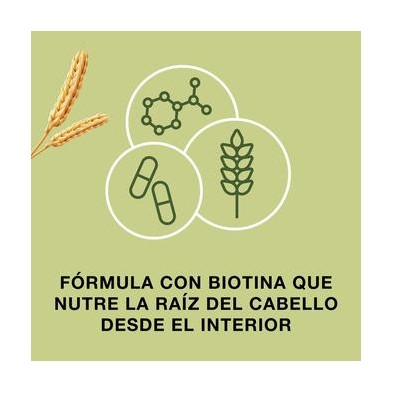 Priorin salud Cabello Pelo Cápsulas - 60 cap