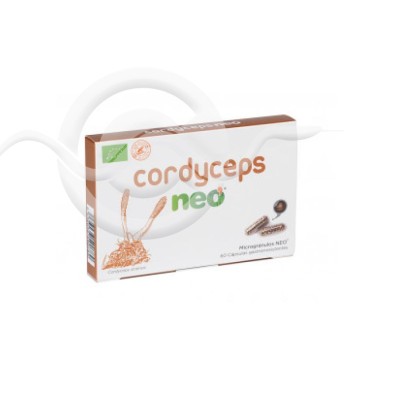 Cordyceps Neo 60 Cápsulas