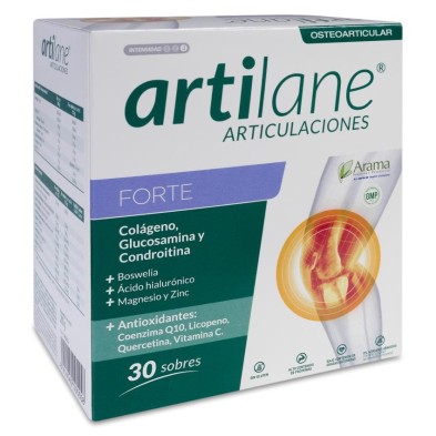 Artilane Forte 30 Sobres