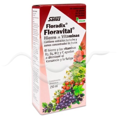 Floradix Floravital 1 Botella 250 ml