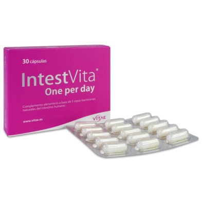 Intestvita One Per Day 30 Cápsulas