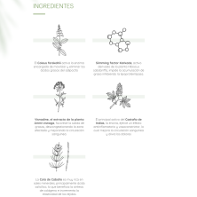 THIOMUCASE ZONAS REBELDES STICK ANTICELULITICO 75 ML