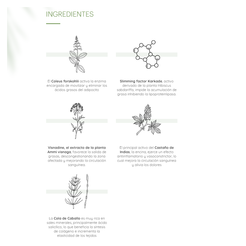 THIOMUCASE ZONAS REBELDES STICK ANTICELULITICO 75 ML