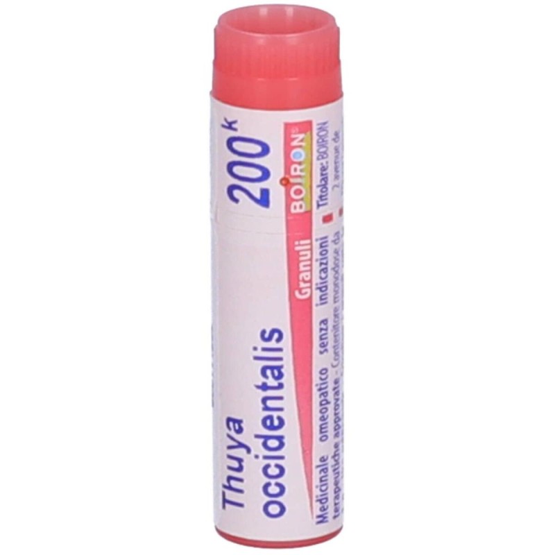 Thuya Occidentalis Gr 9ch Boiron
