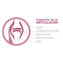 REGENDOL COLAGENO UCII 30 COMPRIMIDOS