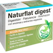NATURFLAT DIGEST 45 CAPSULAS