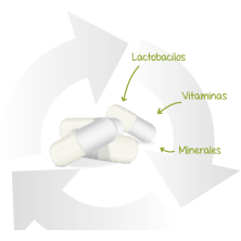 LACTOFLORA PROTECTOR INMUNITARIO 30 CAPSULAS