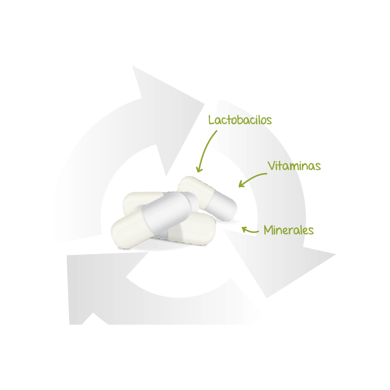 LACTOFLORA PROTECTOR INMUNITARIO 30 CAPSULAS