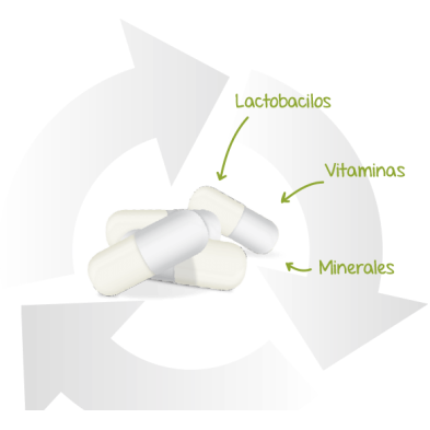 LACTOFLORA PROTECTOR INMUNITARIO 30 CAPSULAS