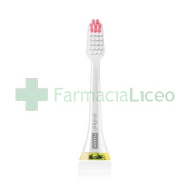 VITIS SONIC RECAMBIO S10/S20 GINGIVAL