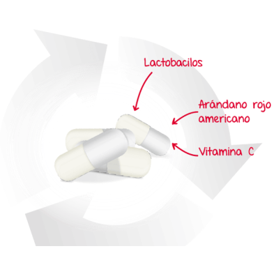LACTOFLORA CISCARE 15 CAPSULAS