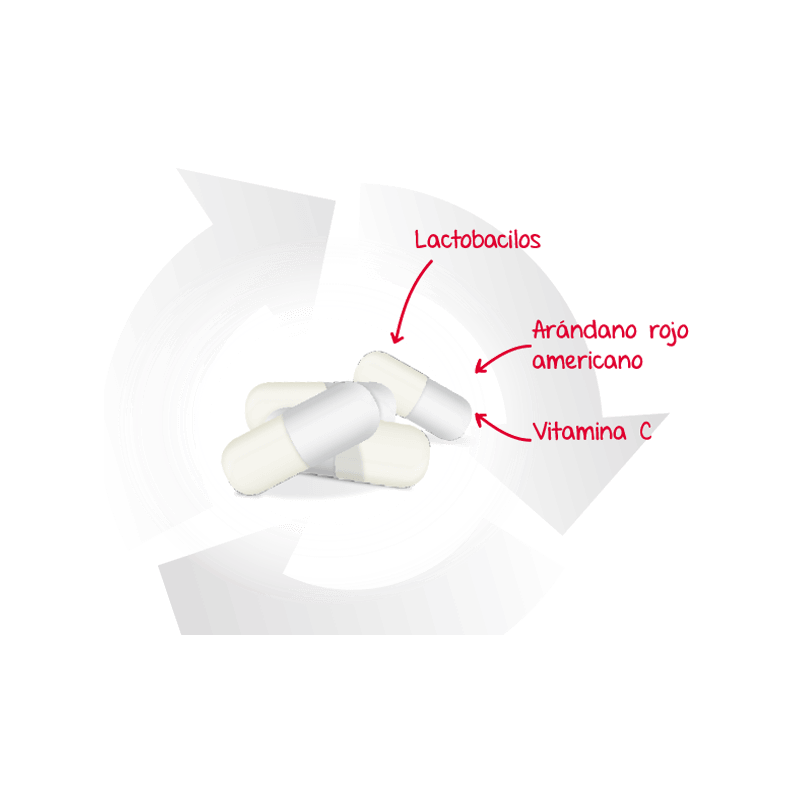 LACTOFLORA CISCARE 30 CAPSULAS