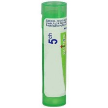 NUX VOMICA GR 5CH BOIRON                