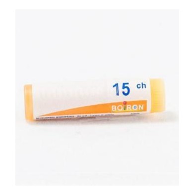 DULCAMARA GR 15CH BOIRON                