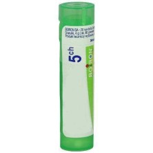 SOLIDAGO VIRGA AUREA GR 5CH BOIRON      