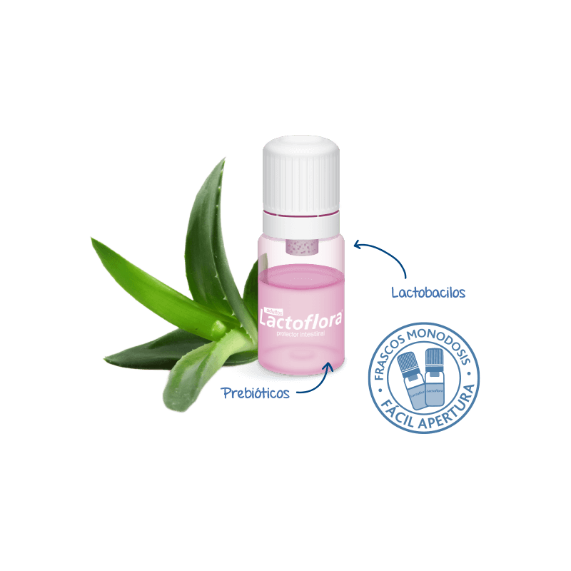 LACTOFLORA PROTECTOR INTESTINAL ADULTO 10 VIALES