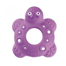 MAM FRIENDS TORTUGA BOB 5+M