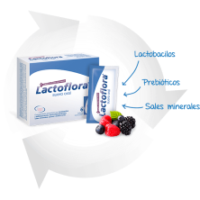 LACTOFLORA SUERO ORAL 6 SOBRES