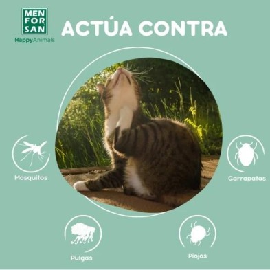 MENFORSAN CHAMPU GATOS INSECTOS